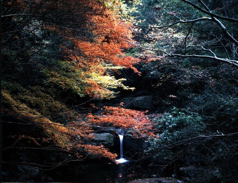 犬鳴山温泉