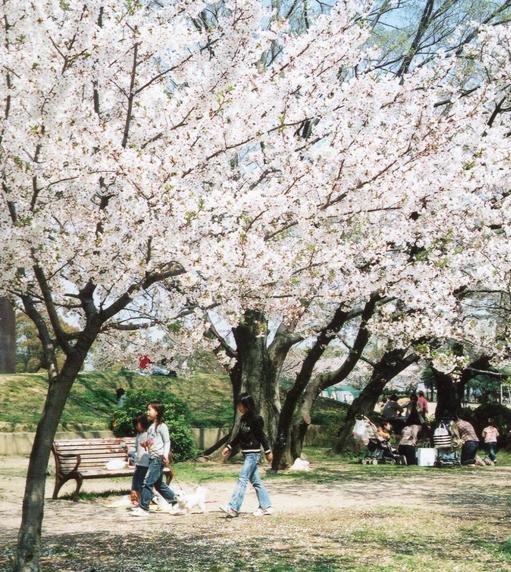 末広公園