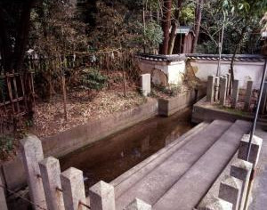 20250609_yukawa_hinejinjya