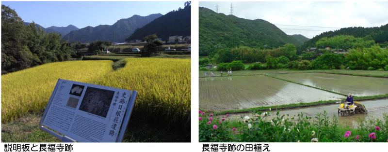 長福寺跡の案内板と田植えの様子