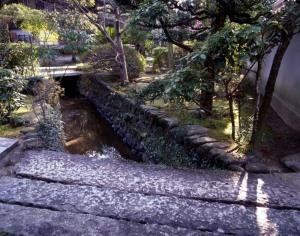 慈眼院境内の井川