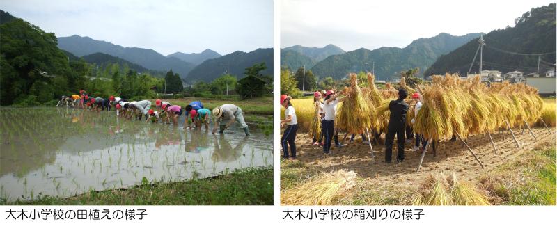 大木小学校農作業体験