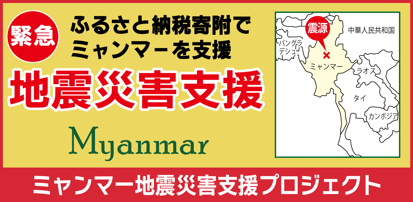 ミャンマー地震災害支援プロジェクト