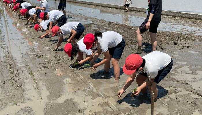 長坂小学校：課外授業風景2