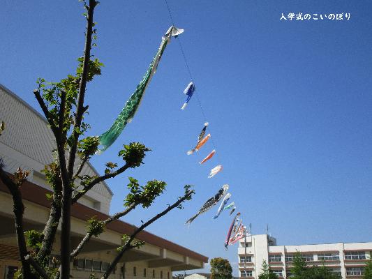 長南小学校画像2