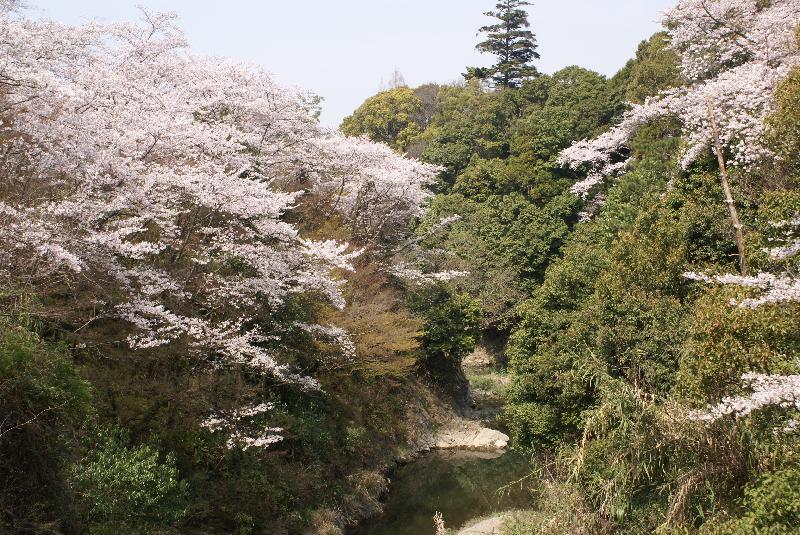 大井関公園