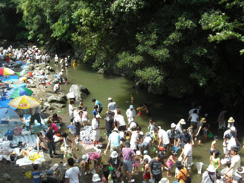 犬鳴山納涼カーニバル（金魚の放流）