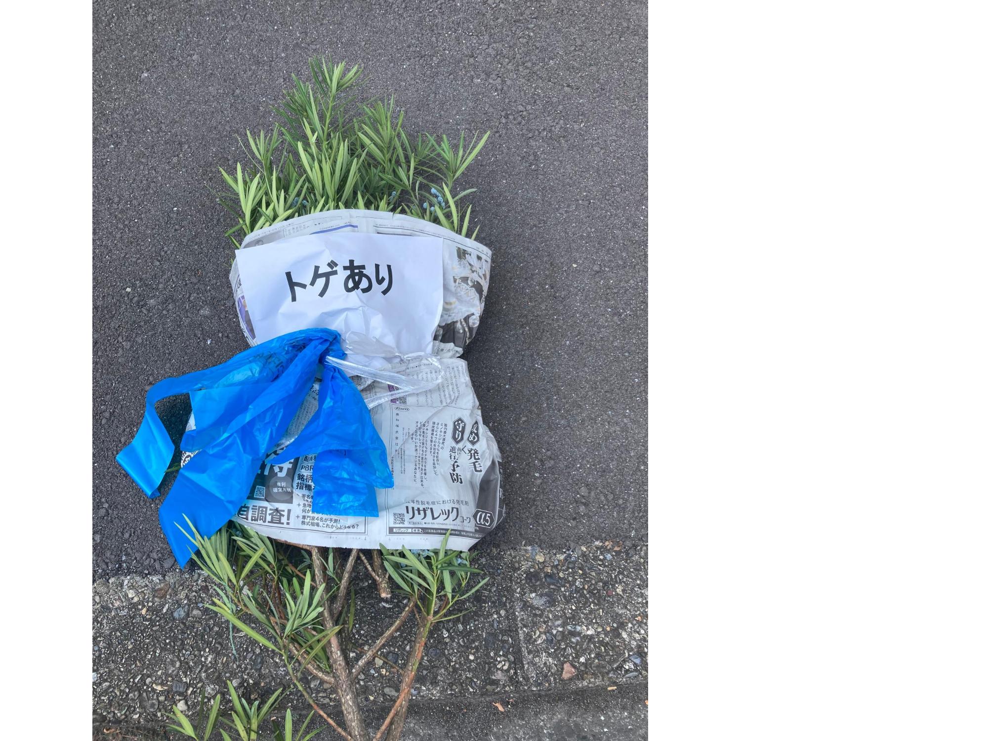 出し方見本