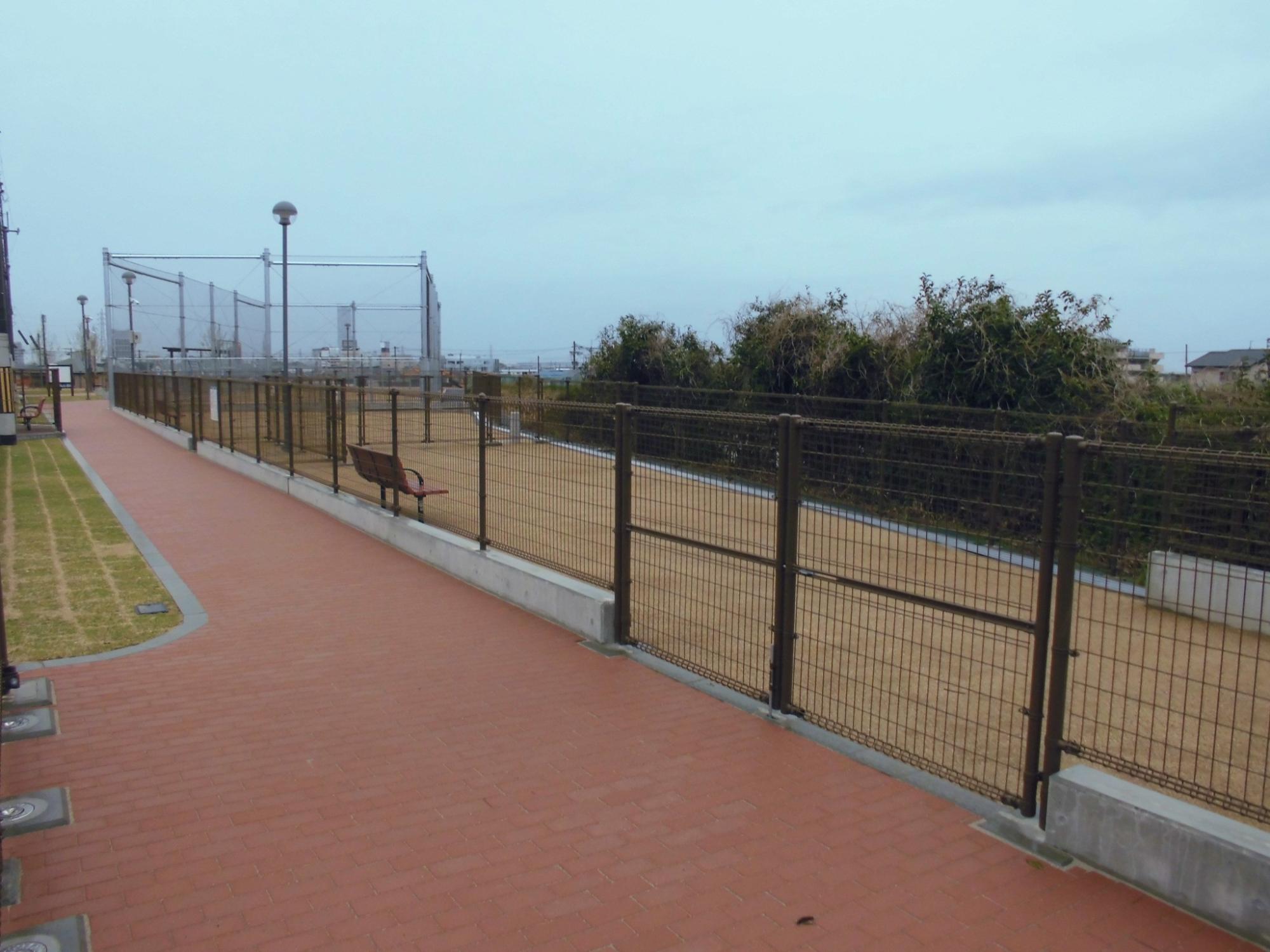 ドッグラン画像