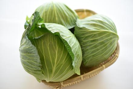 松波キャベツ