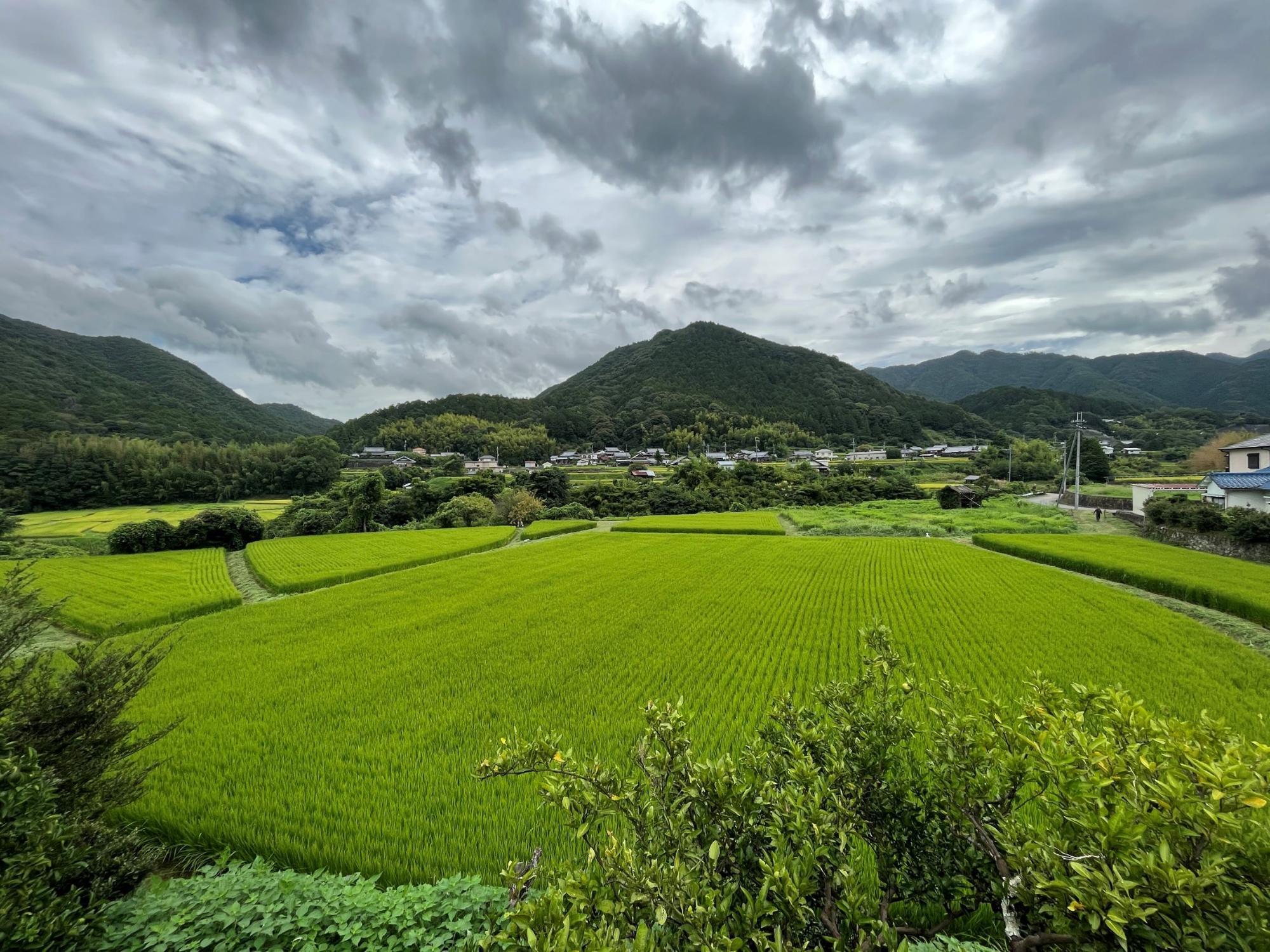 農村 