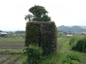 野々宮跡