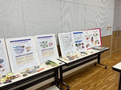 教室での展示の様子