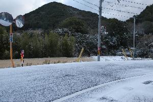 学校前道路