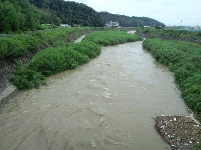 大雨のあと3