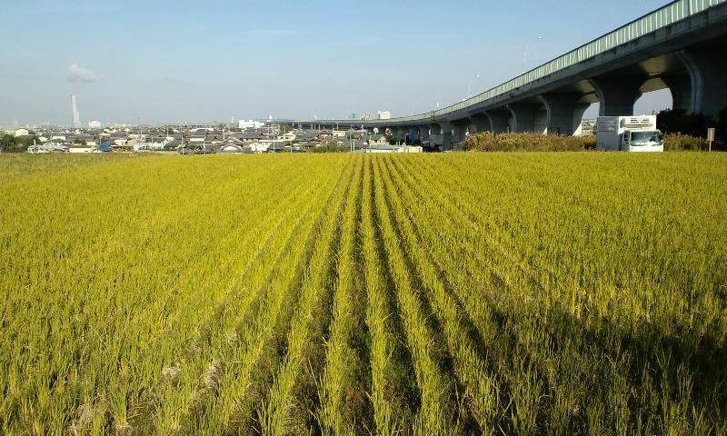 空連道の風景