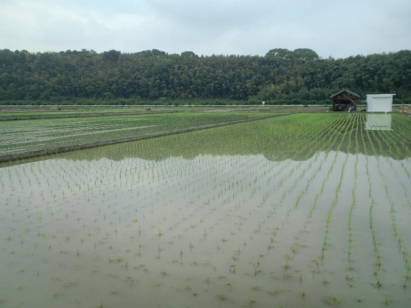 水田に映る風景1