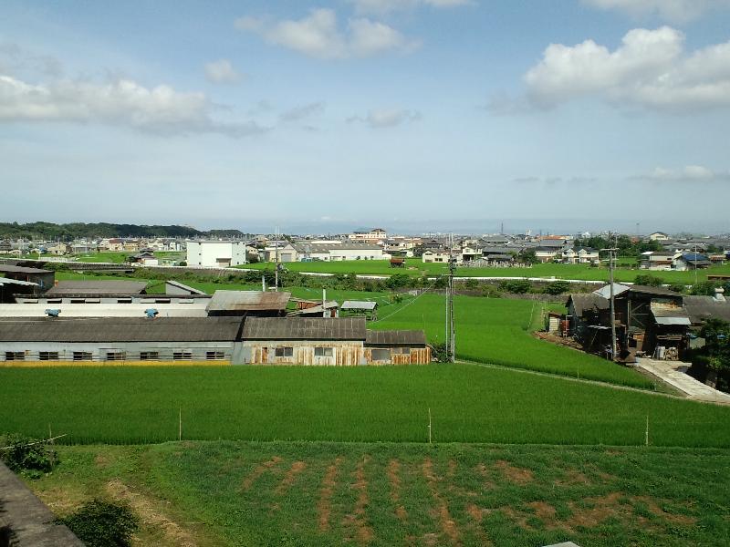 真夏の風景 校舎を遠くに