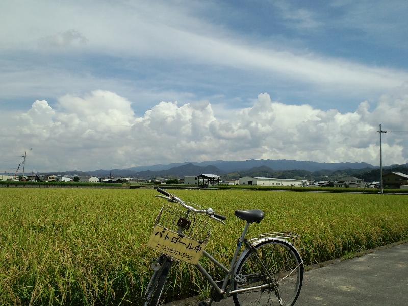 自転車と田んぼの風景