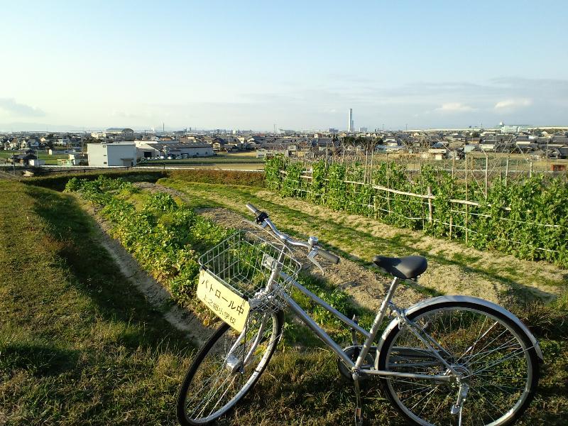 遠くに校舎タワー淡路島