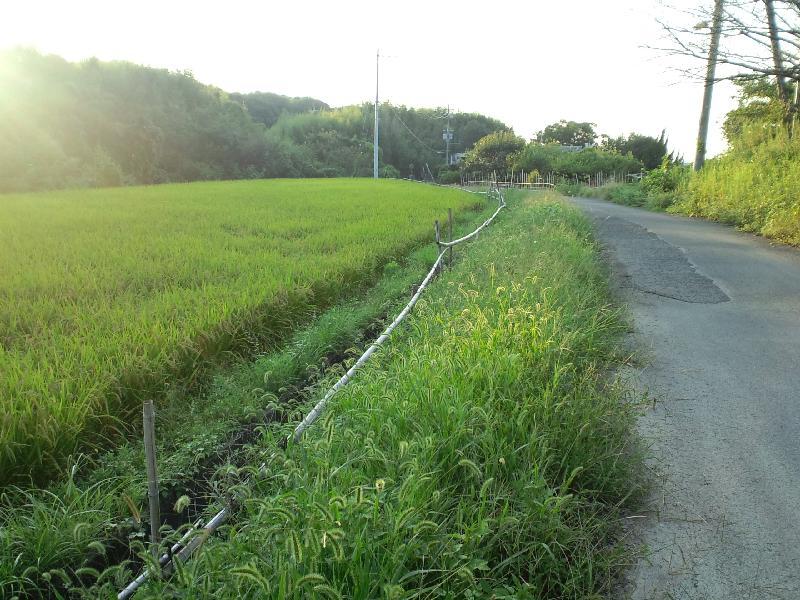 下村橋の南側