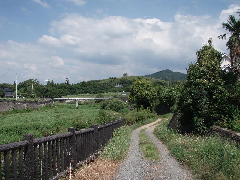 川沿いの道