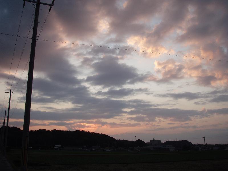 見上げれば夕焼けの空