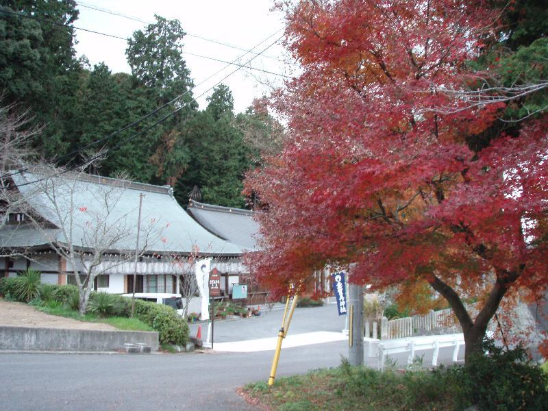 紅葉と意賀美神社1