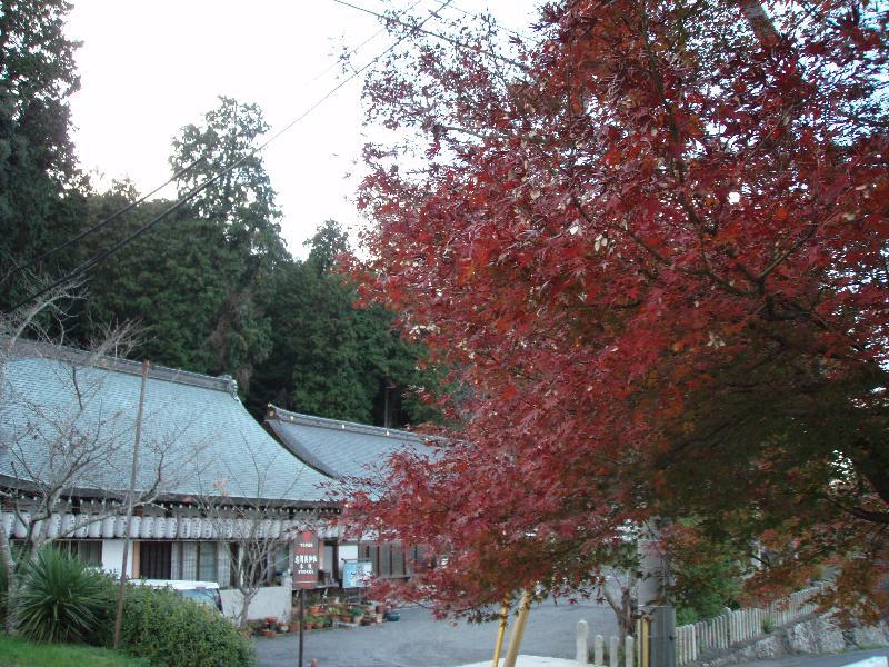 意賀美神社の紅葉2011