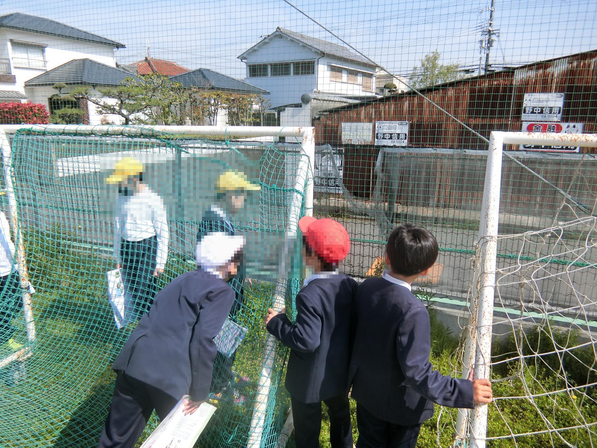 むしみつけ