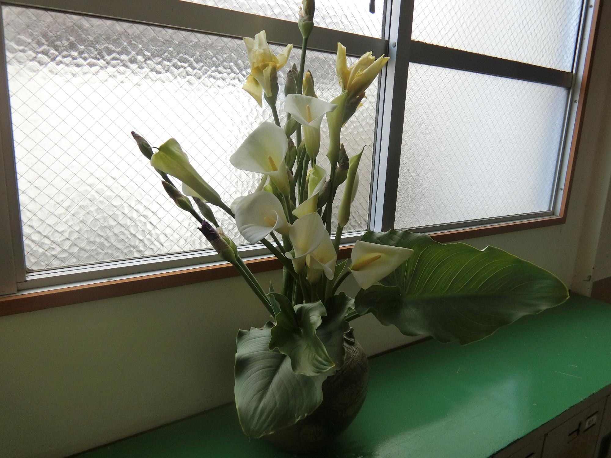 はな