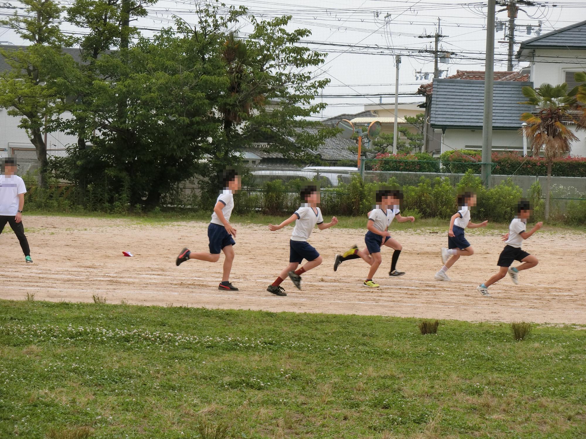 めちゃMORI