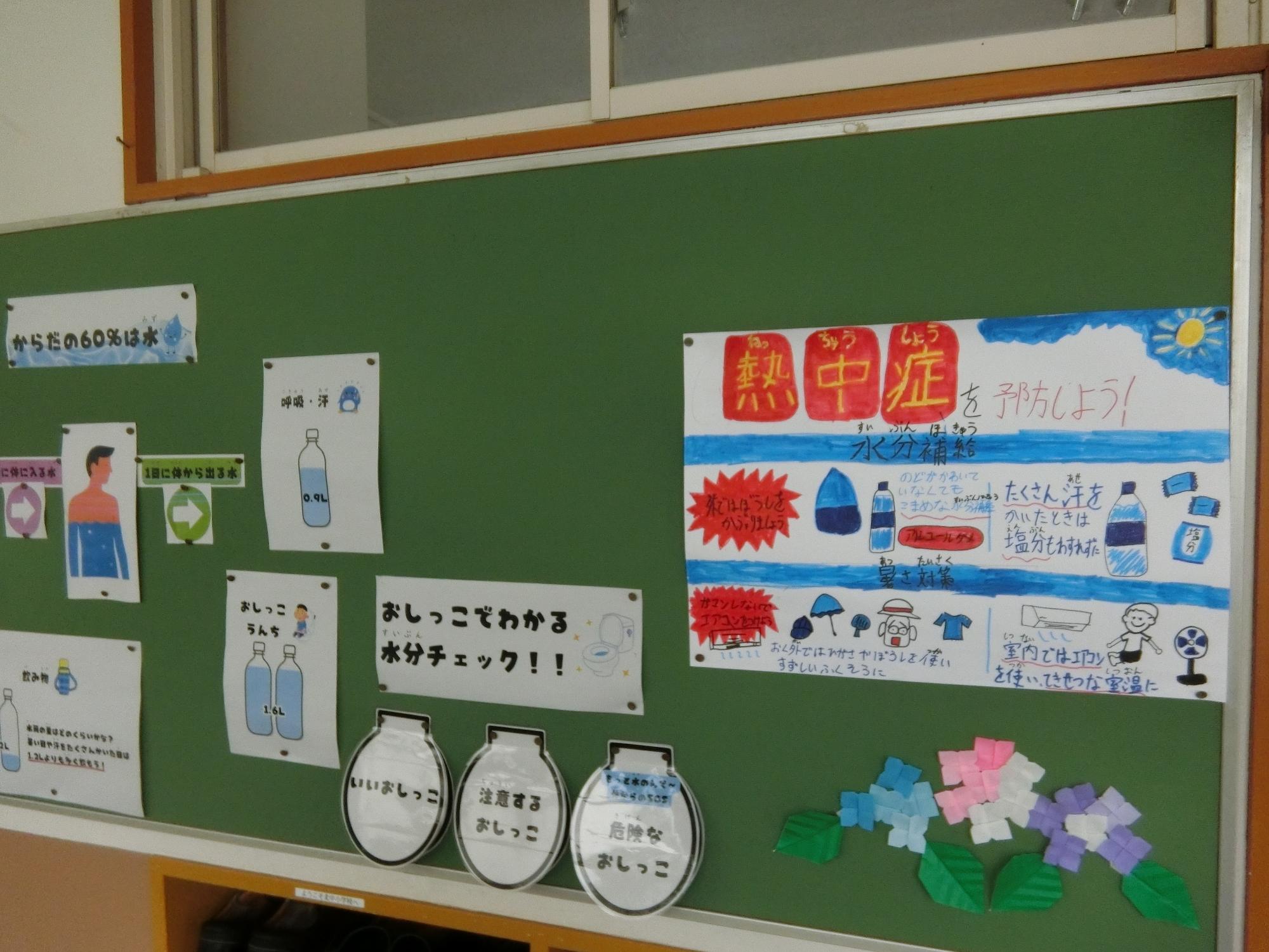 掲示