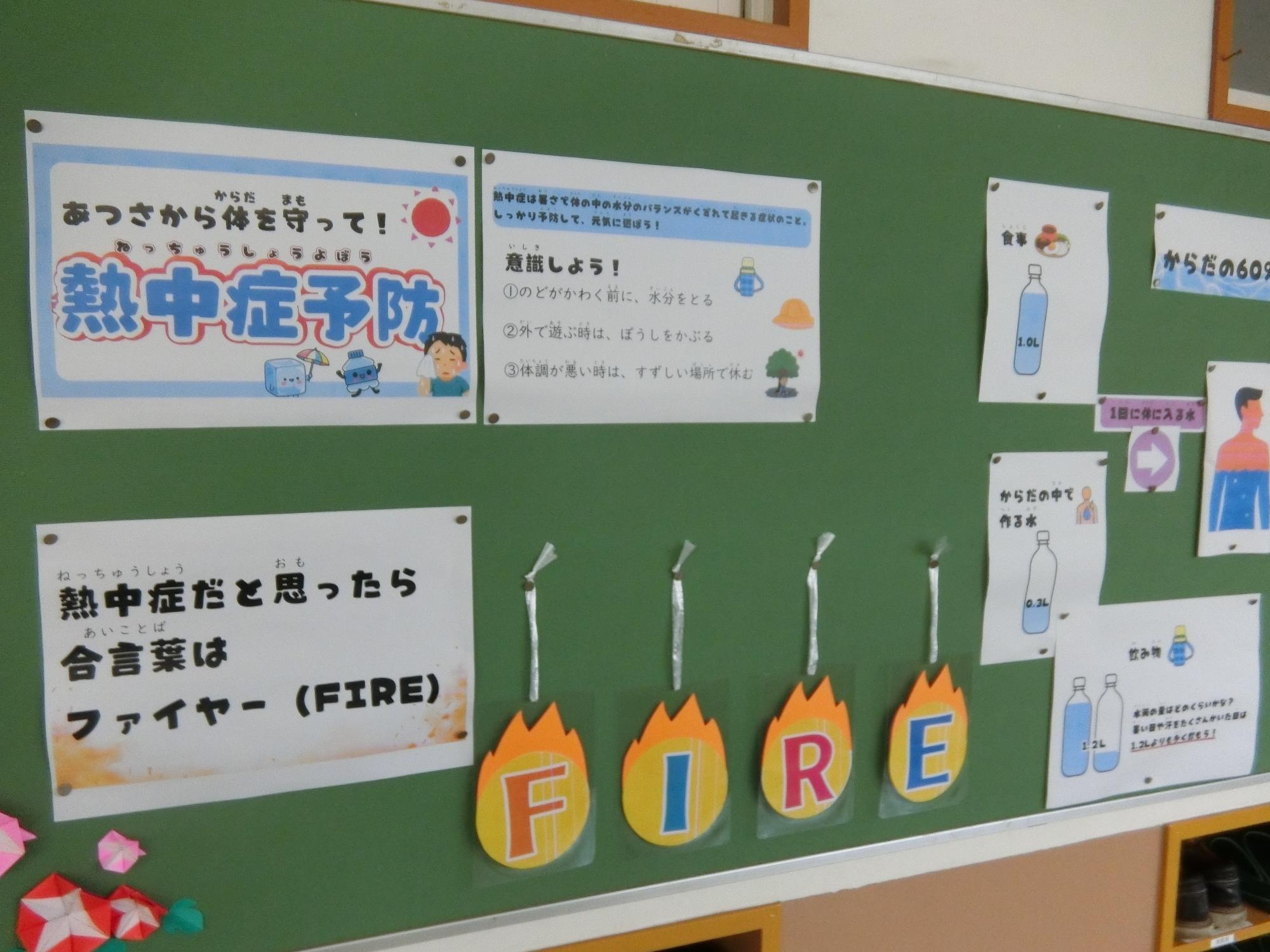 掲示