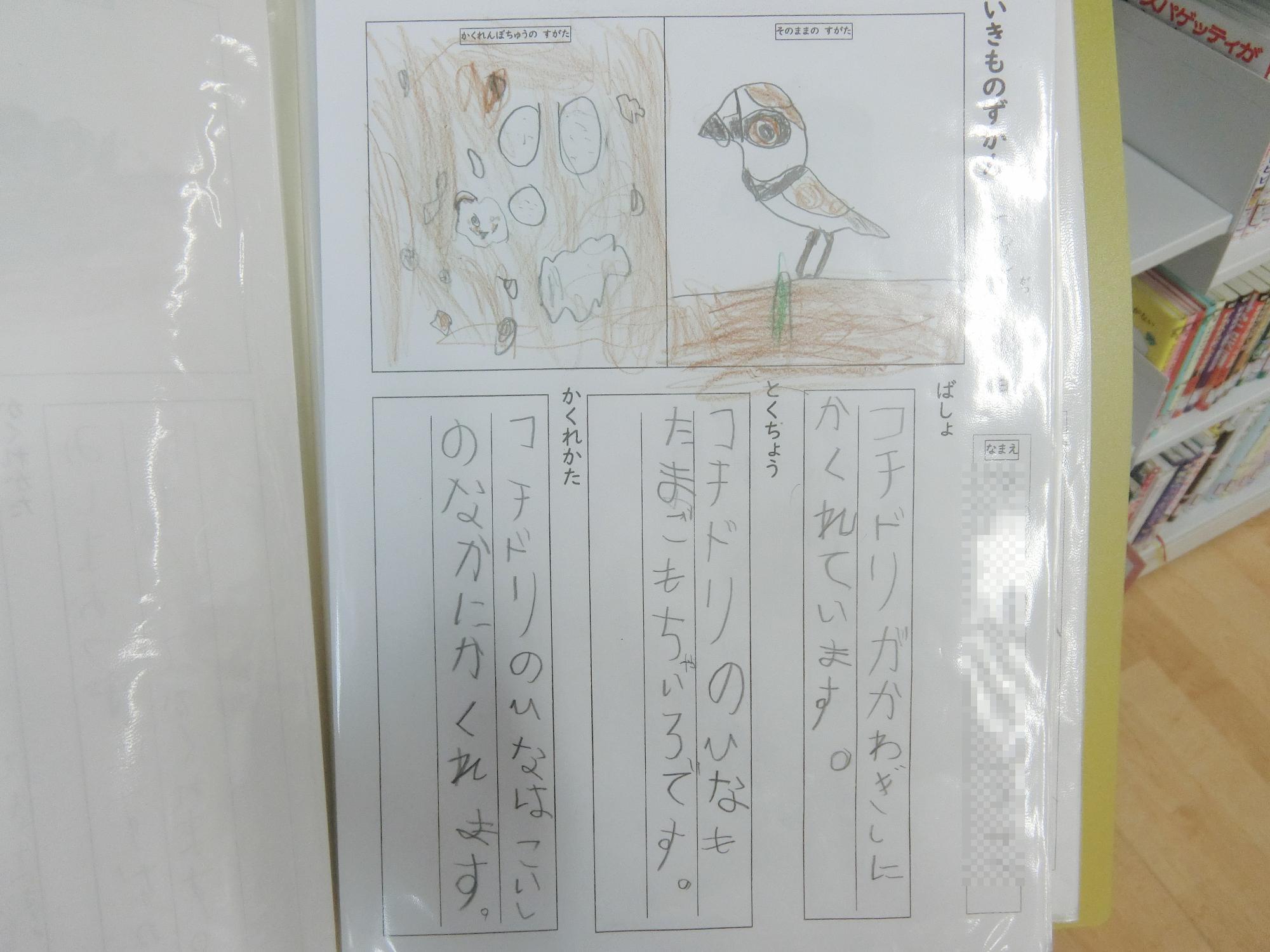 かくれんぼずかん