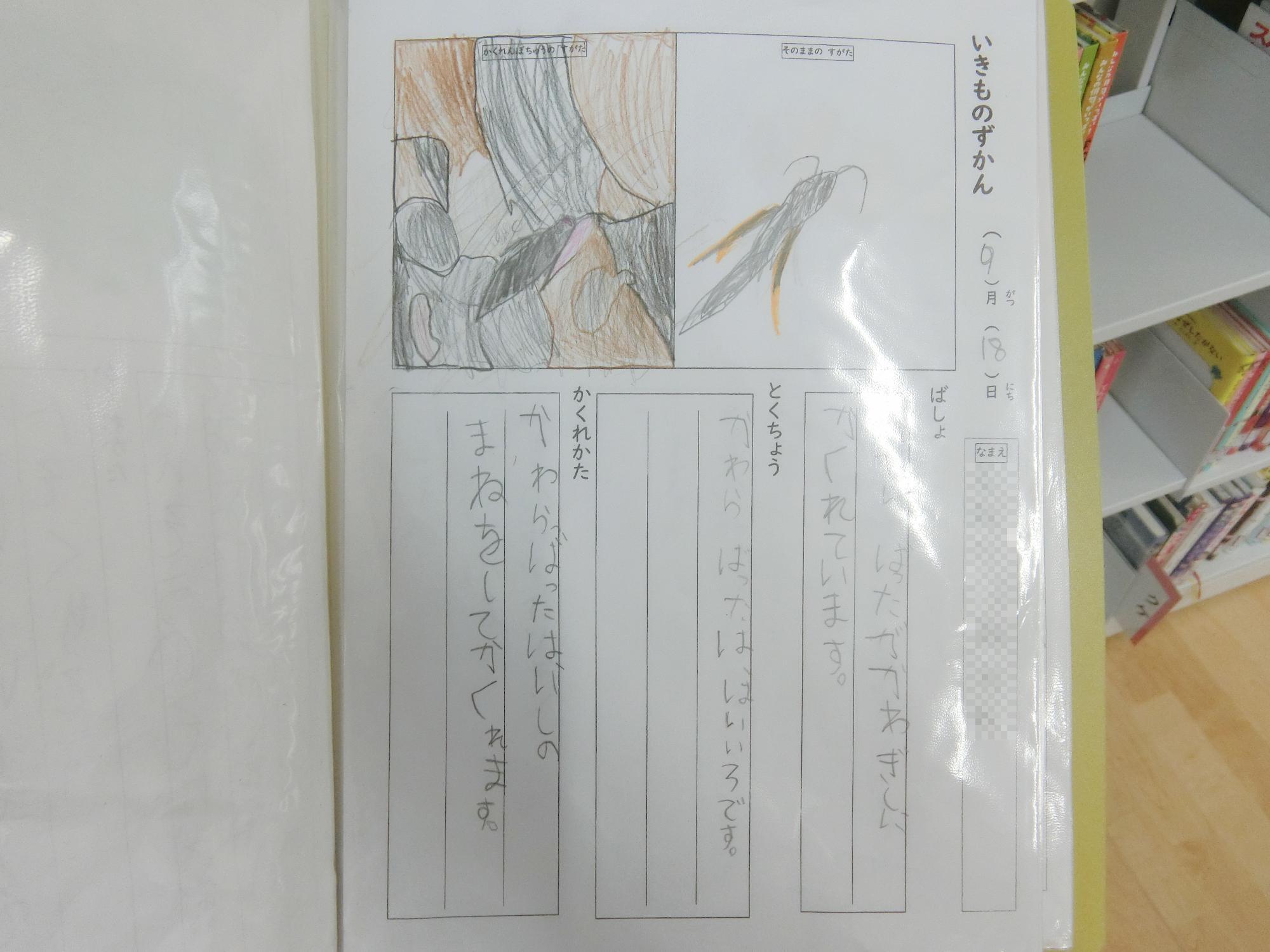 かくれんぼずかん