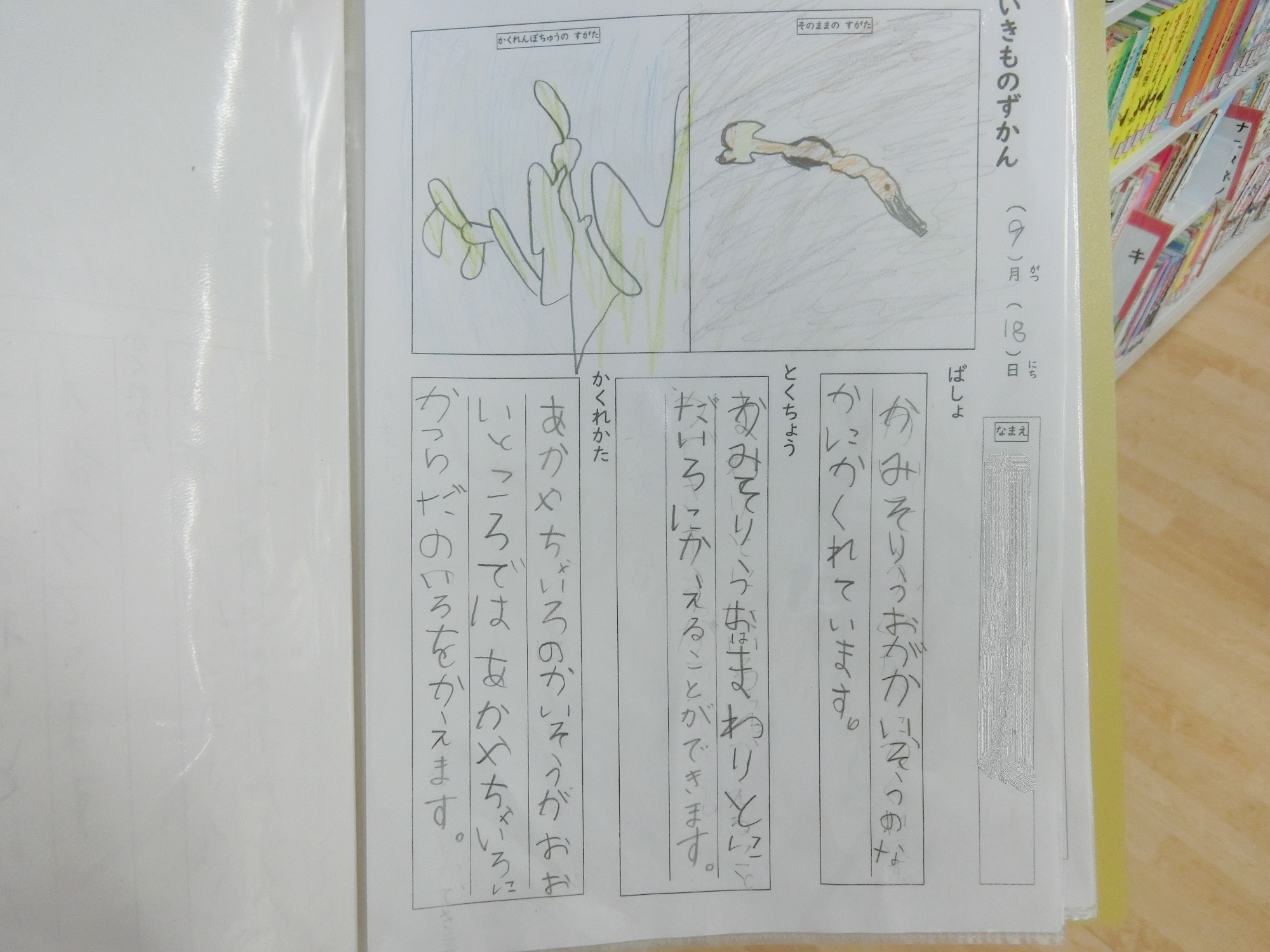 かくれんぼずかん