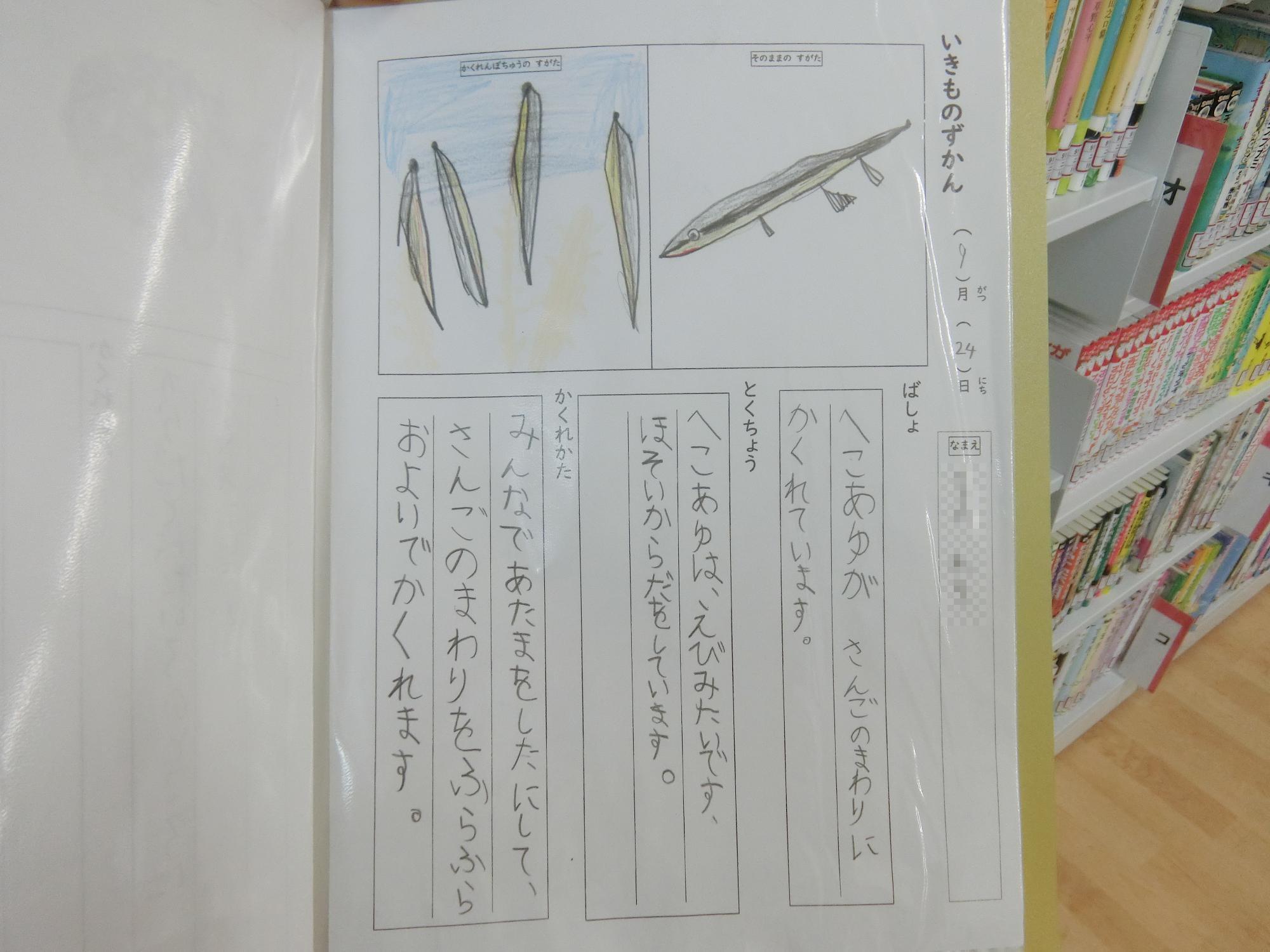 かくれんぼずかん