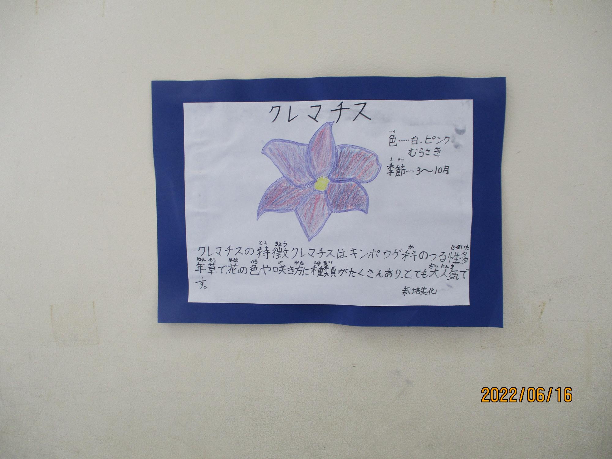栽培・美化委員会