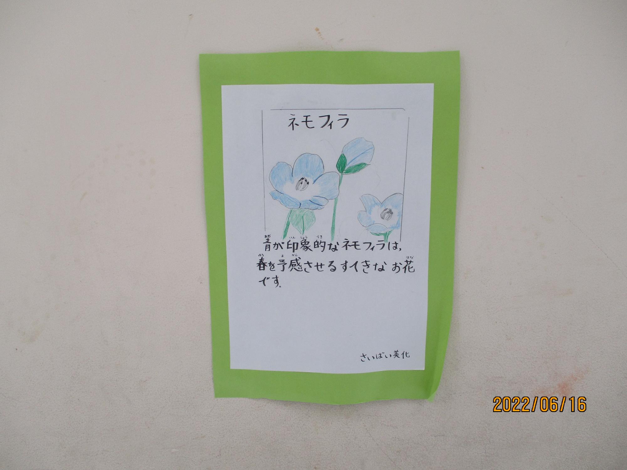 栽培・美化委員会