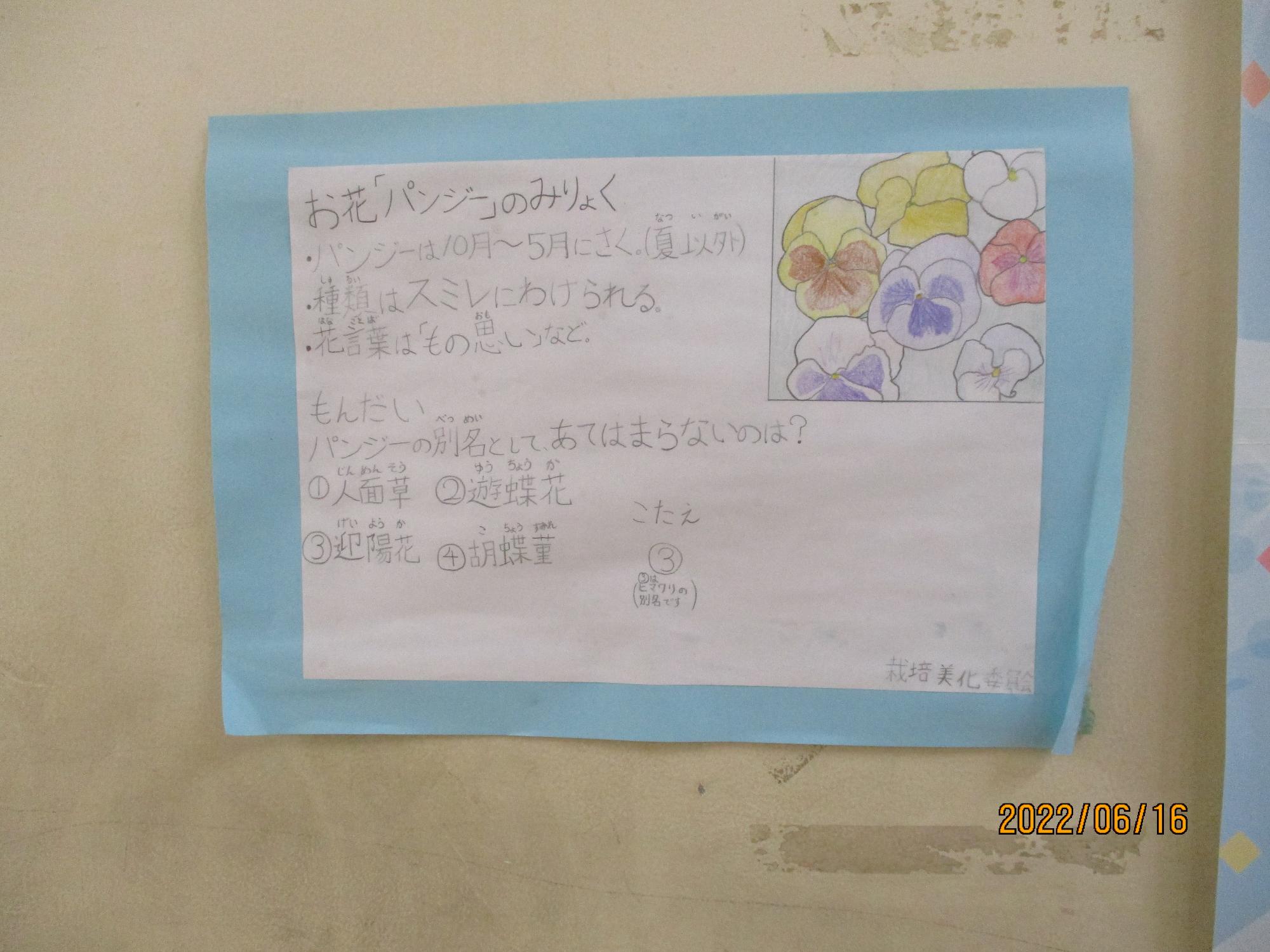 栽培・美化委員会