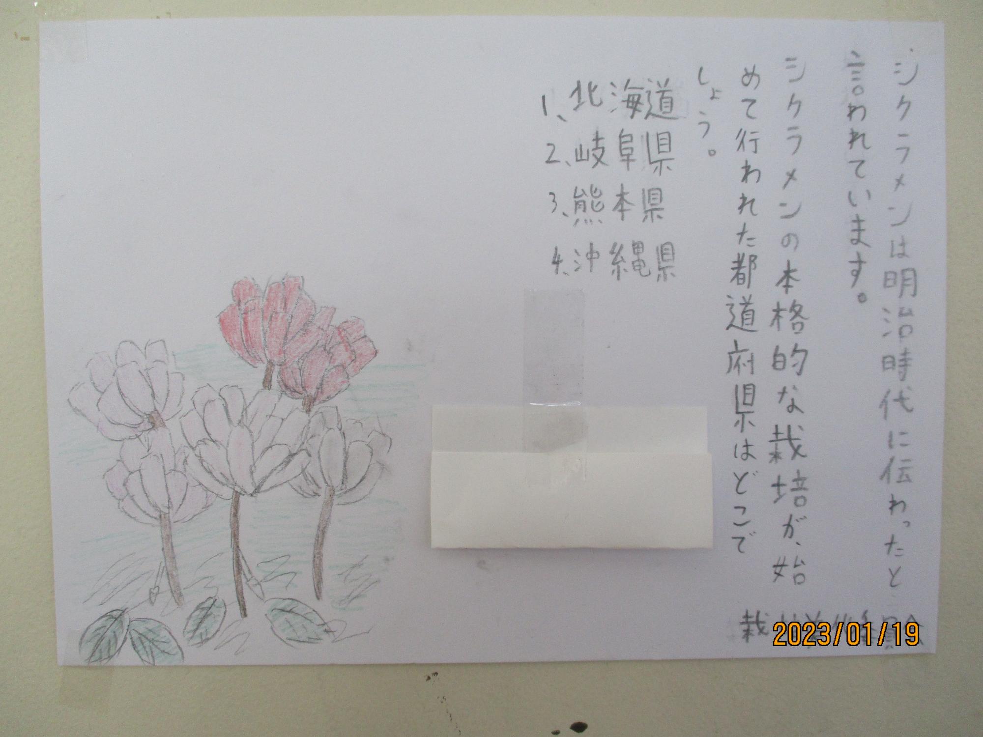 冬の花