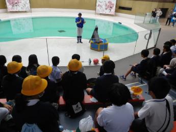 宮島水族館2