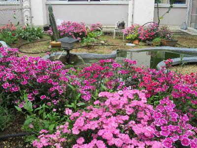5月8日
