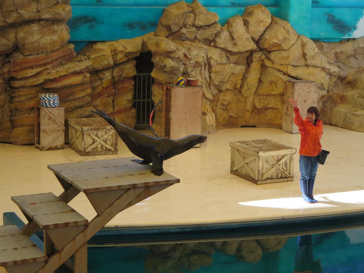 鳥羽水族館アシカショー