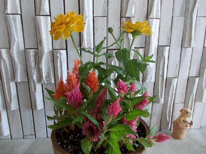 6月7日