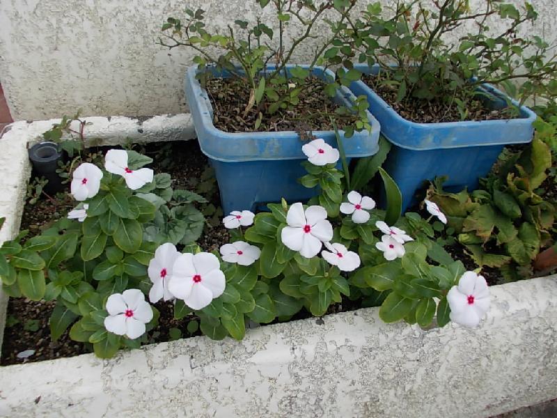 10月3日