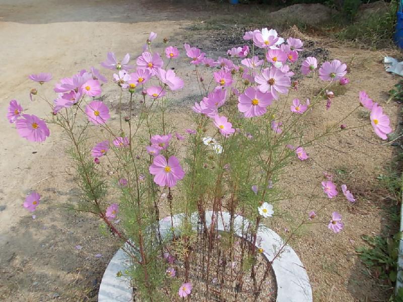 10月12日
