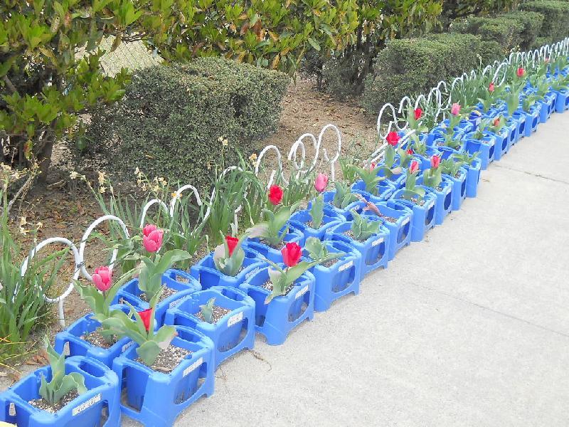 花