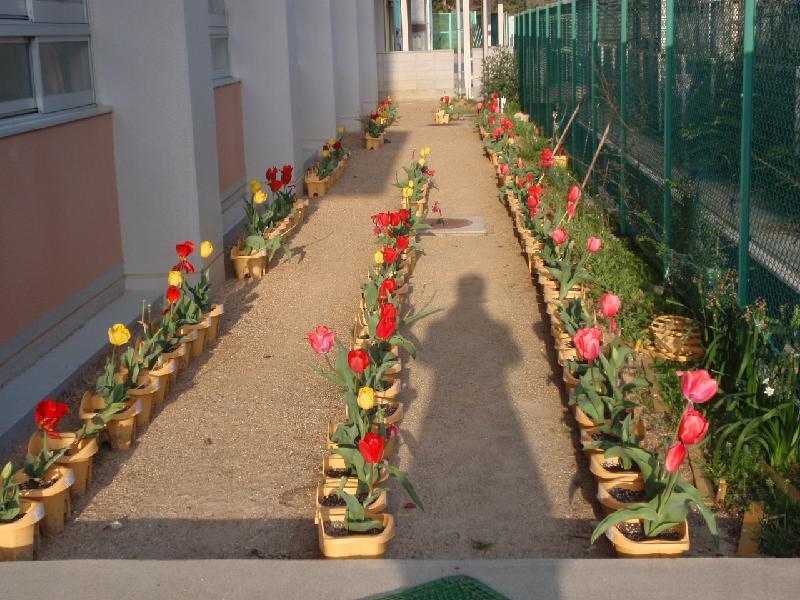 花
